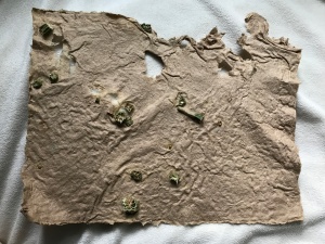 feast first (2017)-paper made from grocery/liquor store bags and dried homegrown okra